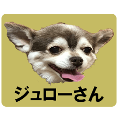 [LINEスタンプ] ジュローさん