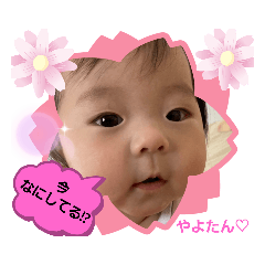 [LINEスタンプ] やよたん2❤