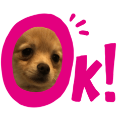 [LINEスタンプ] じゅじゅくんとはっぴーくん
