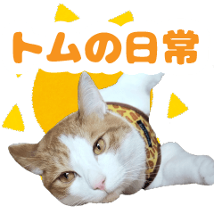 [LINEスタンプ] トムのにちじょう1