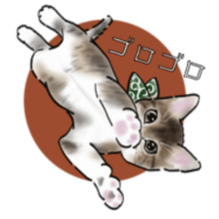 [LINEスタンプ] 愛しのポコ