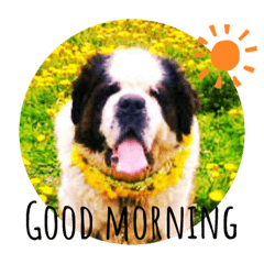 I'm St Bernard.