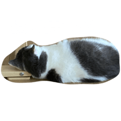 [LINEスタンプ] つぶのつぶやき