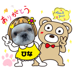 [LINEスタンプ] みことわんこ⑭