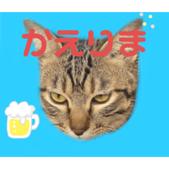 [LINEスタンプ] よちゅではなそ