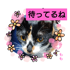 [LINEスタンプ] そらもも団3