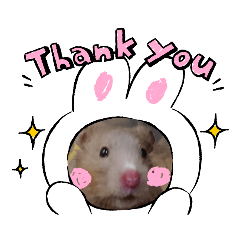 [LINEスタンプ] はむすたースタンプ