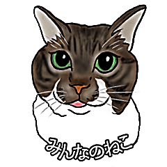 [LINEスタンプ] ねこはともだち