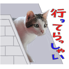 [LINEスタンプ] ネコのあーちょ 日常あいさつ Vol.4