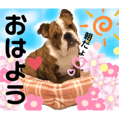 [LINEスタンプ] 挨拶系！！カラフル☆ジェイムズ君とジョイ君