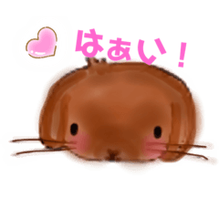 [LINEスタンプ] きなこのゆかいななかまたち（うさぎ）