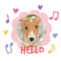 [LINEスタンプ] チビコギズスタンプ