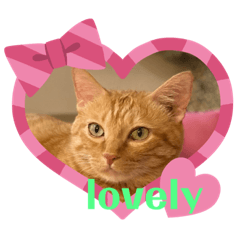 [LINEスタンプ] かわいいその二