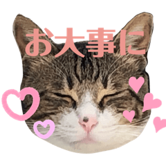 [LINEスタンプ] ごえもん日和 5