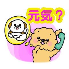 [LINEスタンプ] 日常使い★弱プードルのゆるスタンプ