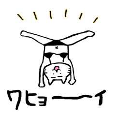 [LINEスタンプ] 黒ビキニねこ