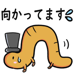 [LINEスタンプ] 虫のスタンプ byつぶライフ