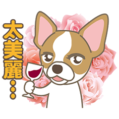 [LINEスタンプ] チワワ・バンビ