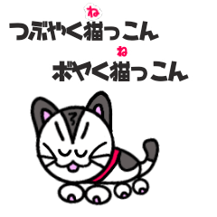 [LINEスタンプ] つぶやく猫っこん ぼやく猫っこん