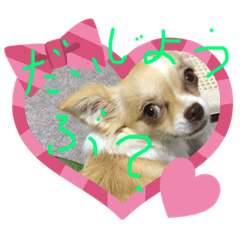 [LINEスタンプ] はるちゃん その七