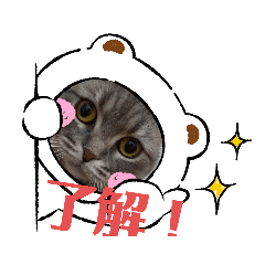 [LINEスタンプ] マンチカンめい