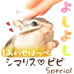 [LINEスタンプ] シマリス♡ビビSP