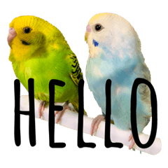 [LINEスタンプ] my little bird 2