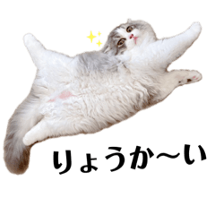 [LINEスタンプ] ぼくわたげ