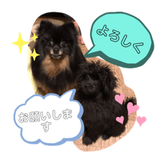 [LINEスタンプ] 黒ポメおはぎとポメプーもずく