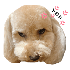 [LINEスタンプ] みるく姫