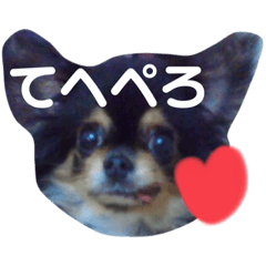 [LINEスタンプ] ♡ちゃむリン♡