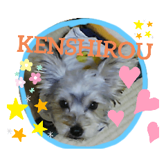 [LINEスタンプ] ボスドック