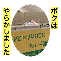[LINEスタンプ] クロ＆ハム太郎