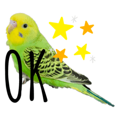 [LINEスタンプ] my little birds 2