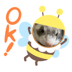 [LINEスタンプ] ふぇれはむず7