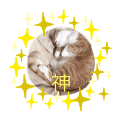 [LINEスタンプ] きなこ スタンプ4