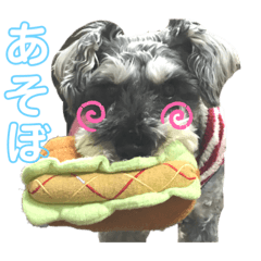 [LINEスタンプ] Qooちゃんスタンプップ その2