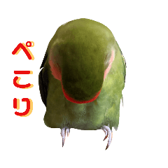 [LINEスタンプ] 我はコザクラなインコなり2