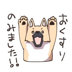 [LINEスタンプ] 犬の飼い主さんが使うスタンプ