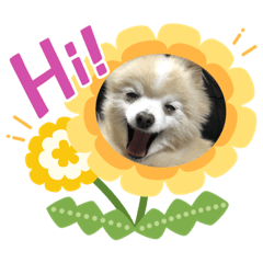 [LINEスタンプ] じゃっくべりー