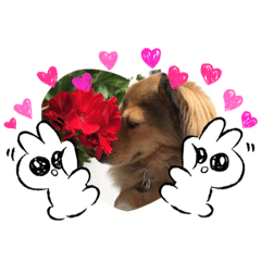 [LINEスタンプ] 黒丸3つだょ24個/ស្អាតរ៉ារ៉ា