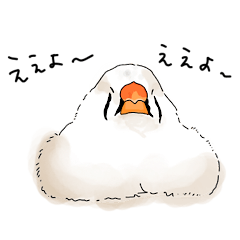 [LINEスタンプ] キンカチョウのフィンとジェイク