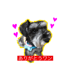 [LINEスタンプ] ムックだワンッ！