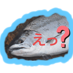 おさかなばーじょん