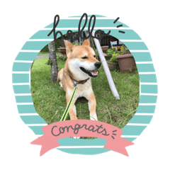 [LINEスタンプ] dog  face  the  REON