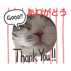 [LINEスタンプ] めーざの日常