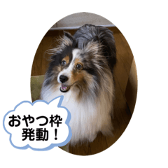 [LINEスタンプ] まりんの1日Ver.5