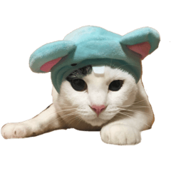 [LINEスタンプ] ギンとスズ