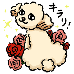 [LINEスタンプ] トイプーハロほのぼのライフ