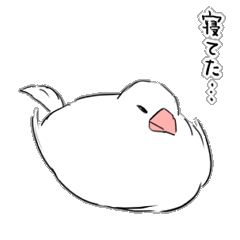 [LINEスタンプ] 無難な白文鳥